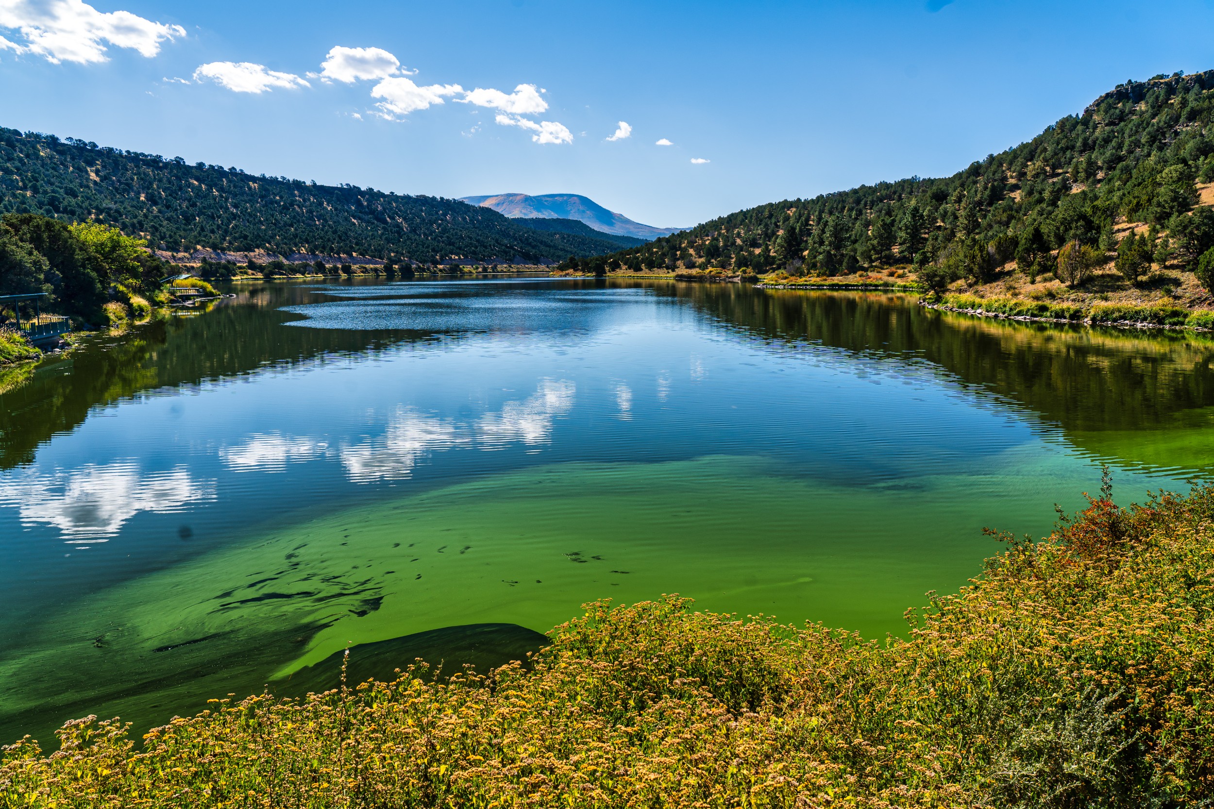 USA 2024 5 Sterne 76